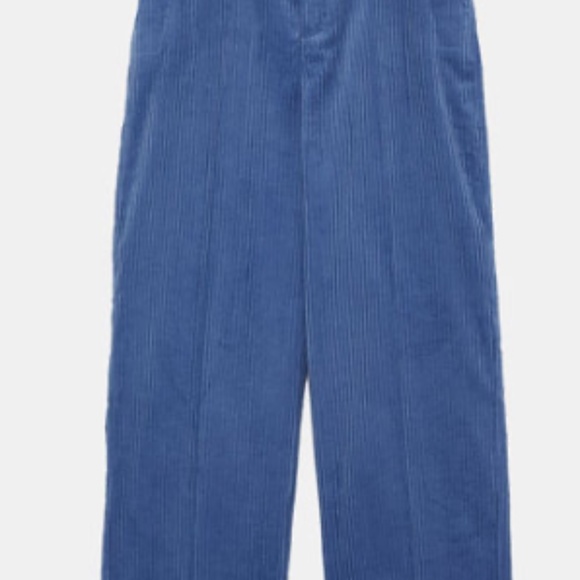 Zara High-Waist Wide-Leg Velveteen Corduroys - Picture 3 of 9